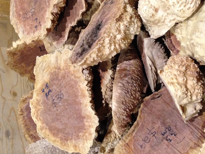 when fri 24 jun 2016 10 00am 4 00pm sat 25 jun 2016 10 00am 4 00pm sun ... when fri 24 jun 2016 10 00am 4 00pm sat 25 jun 2016 10 00am 4 00pm sun ...