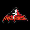 avalancheofficial201's profile picture