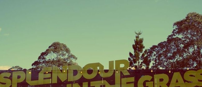 Byron Shire mayor meets with Splendour over teething problems
