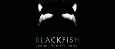 MIFF Film Review: Blackfish