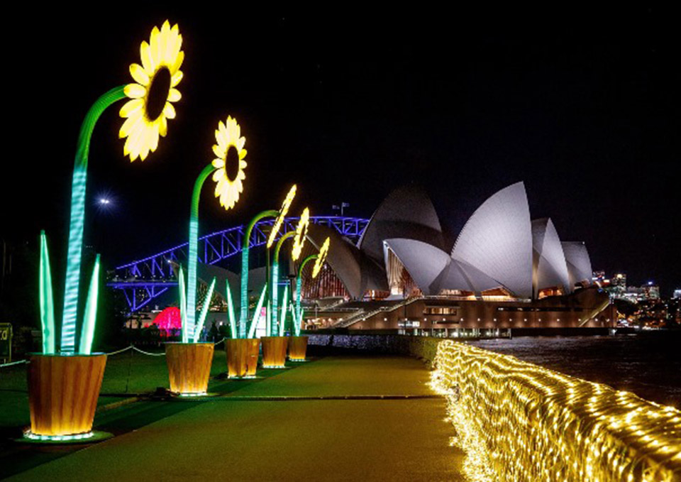 Vivid Dinner Cruises- Light shows