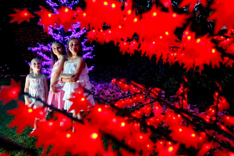 christmas lights spectacular hunter valley eventfinda christmas lights spectacular hunter valley eventfinda