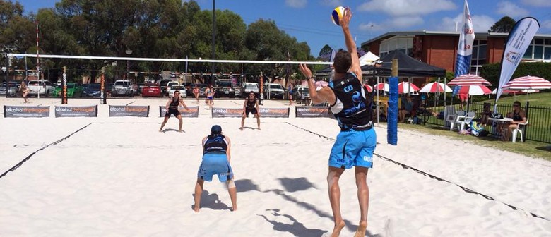 2015 Social Beach Volleyball- Spring