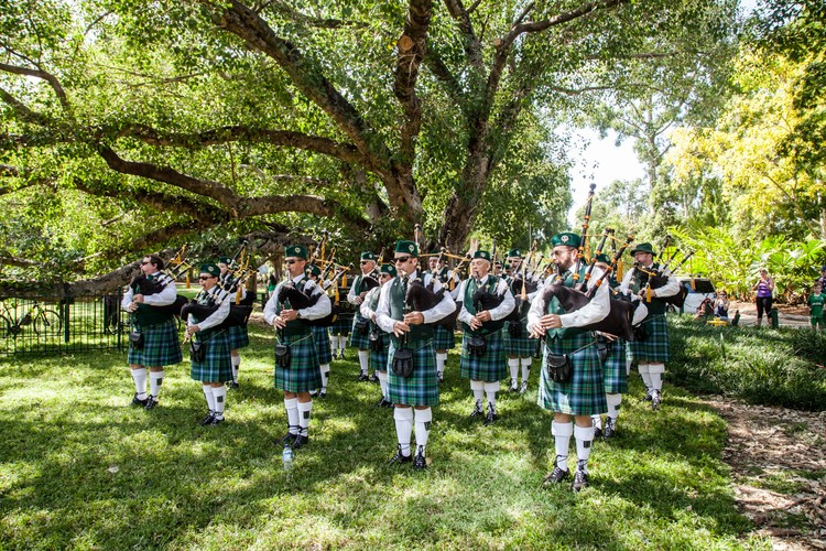 s day brisbane st patrick s day parade brisbane festival s day brisbane st patrick s day parade brisbane festival