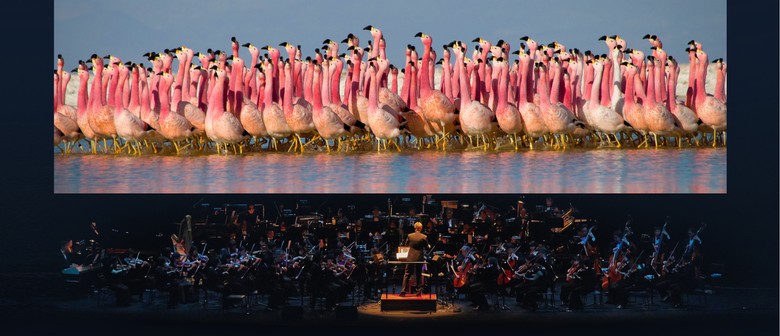 See the source image