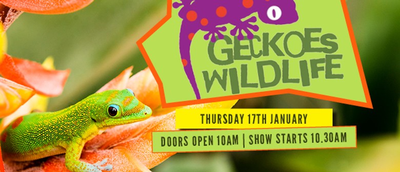 Geckoes Wildlife Show
