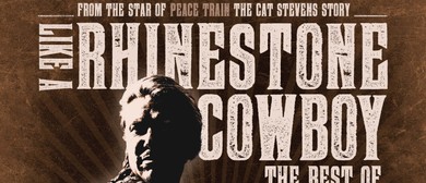 Darren Coggan &ndash; Like A Rhinestone Cowboy