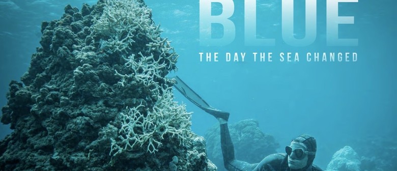 Film Screening and Q&A – Blue
