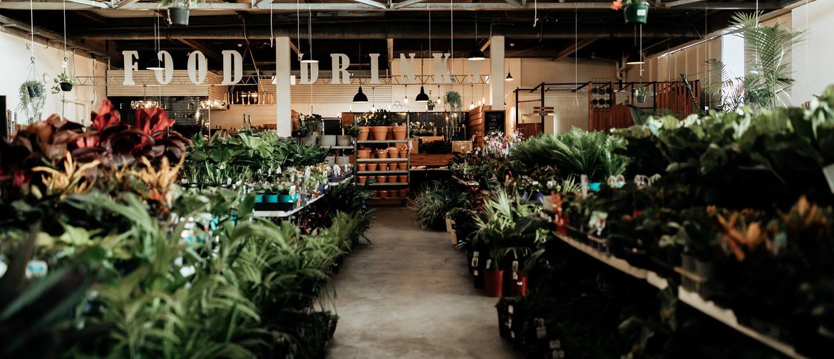 Indoor Plant Warehouse Sale – Summertime Madness