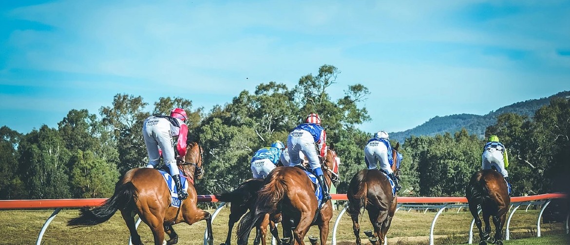 Hygain Mansfield Cup Day