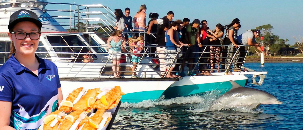 Kids Cruise – Dolphin Cruises