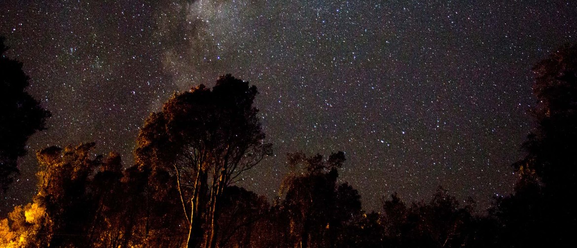 Stars Over the Garden – Astronomy Night