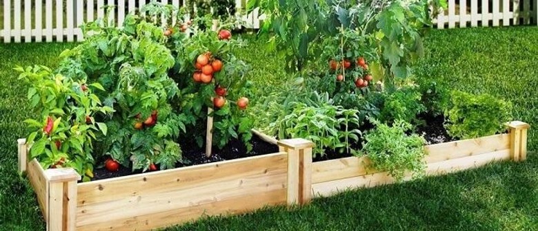 Organic Gardening – Intermediate Level Workshop