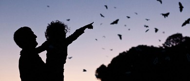 Spotlight Prowl for Families &ndash; Ages 5+