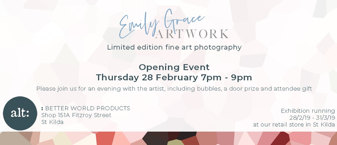 Art Exhibition – Emily Grace Artwork