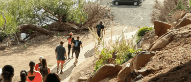 The Great Lonnie Stomp