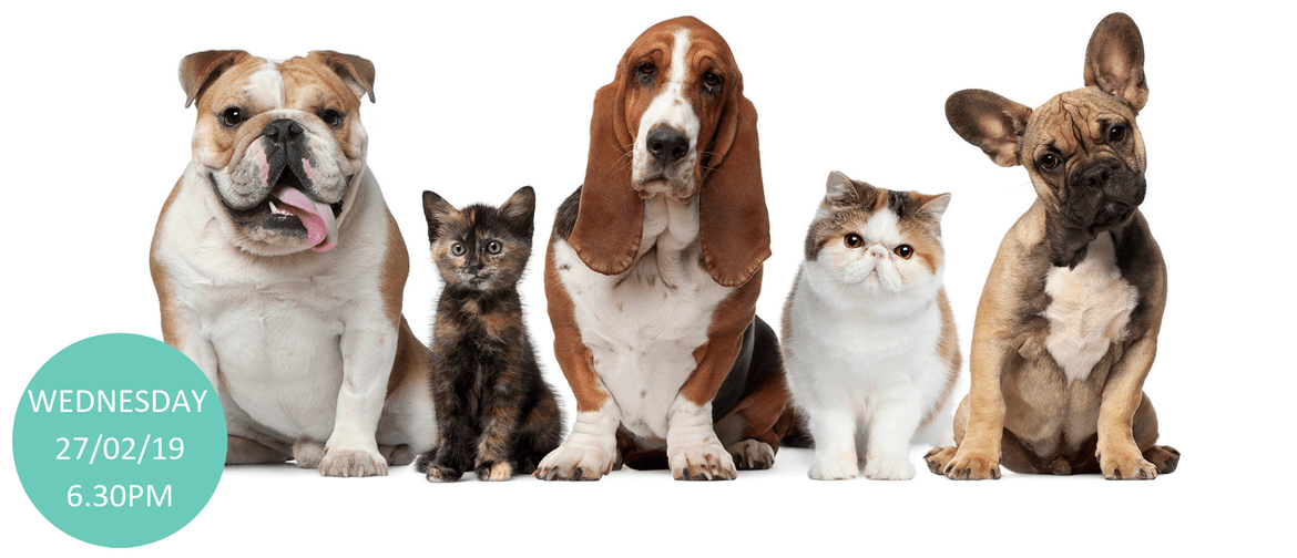 Natural Pet Care – Mini Workshop