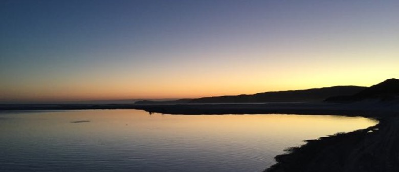 Torbay &ndash; Robert Zielinski