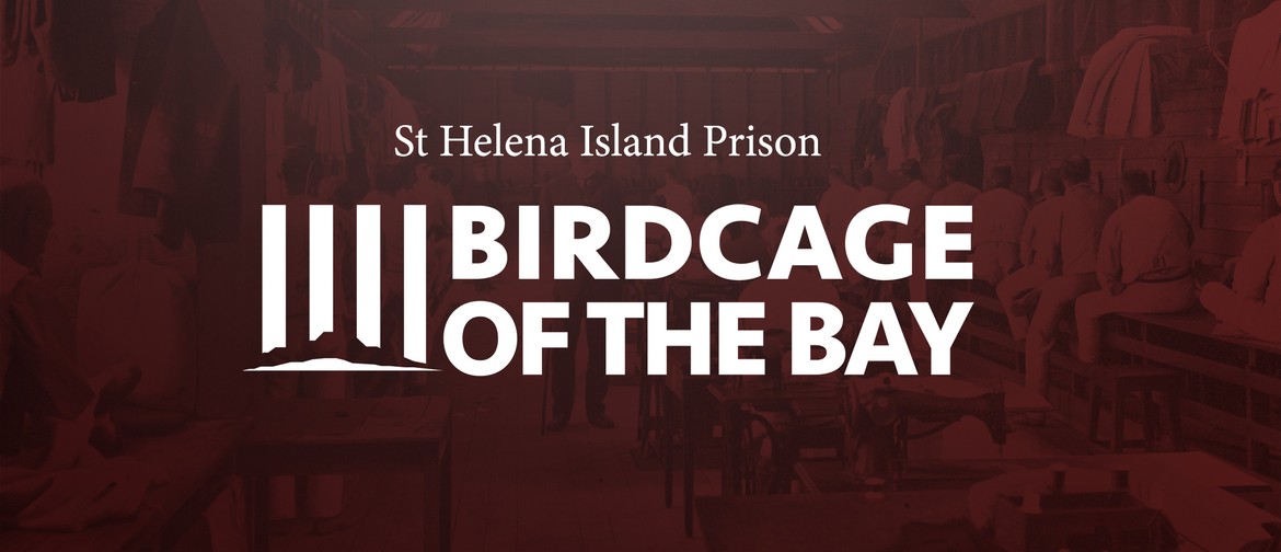 Birdcage of The Bay Exhibition