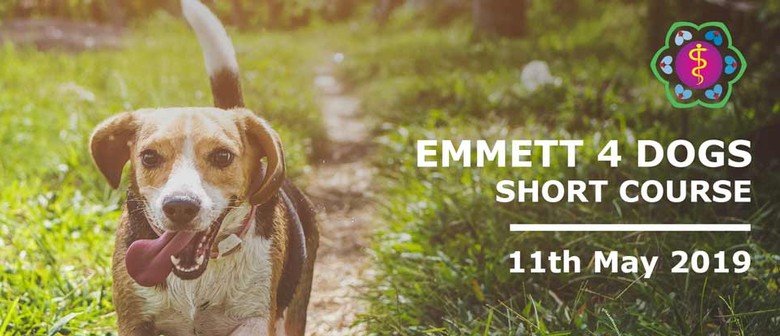 Emmett 4 Dogs Short Course