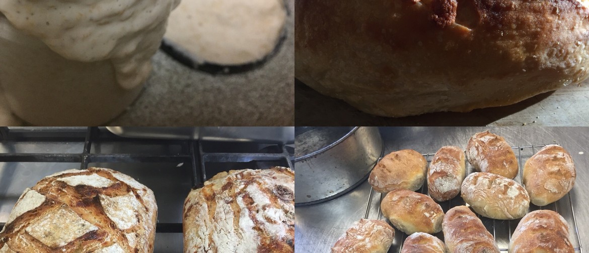 Intro to Sourdough Baking Workshop