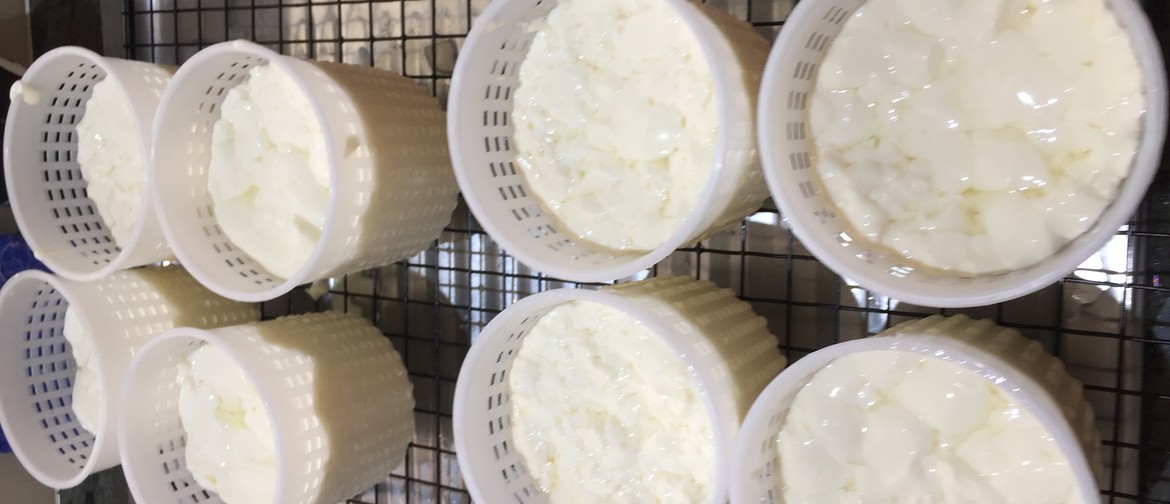 Cheese-Making Workshop – Halloumi & Feta