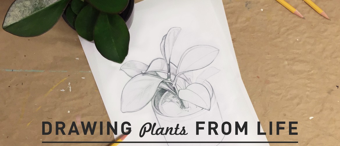 Meet the Maker: Drawing Plants From Life With Outer Island