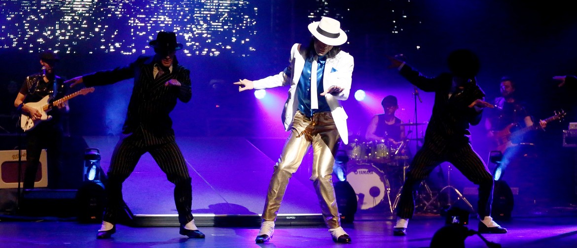 Michael Jackson Concert Experience
