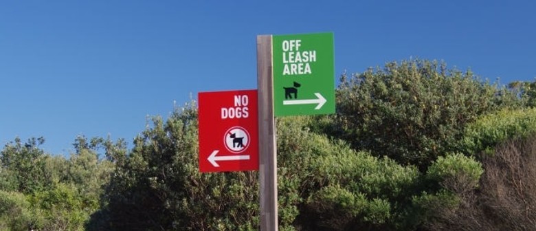 Off Leash Area – The Stray Dogs