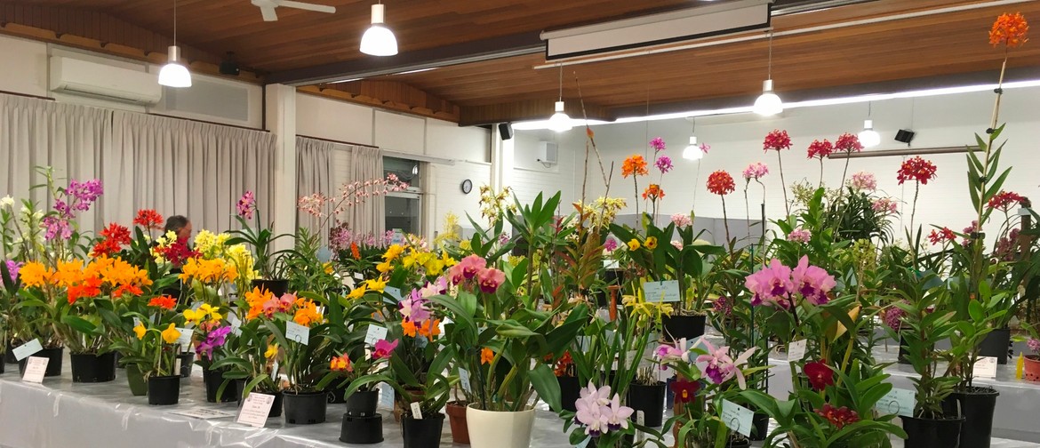 North Brisbane Orchid Society Annual Show