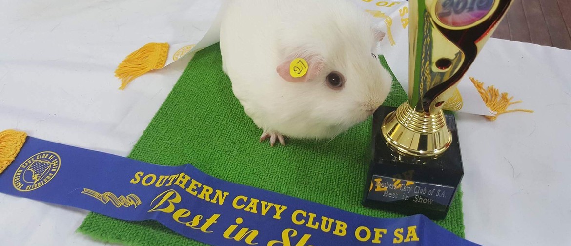Southern Cavy Club Annual Show