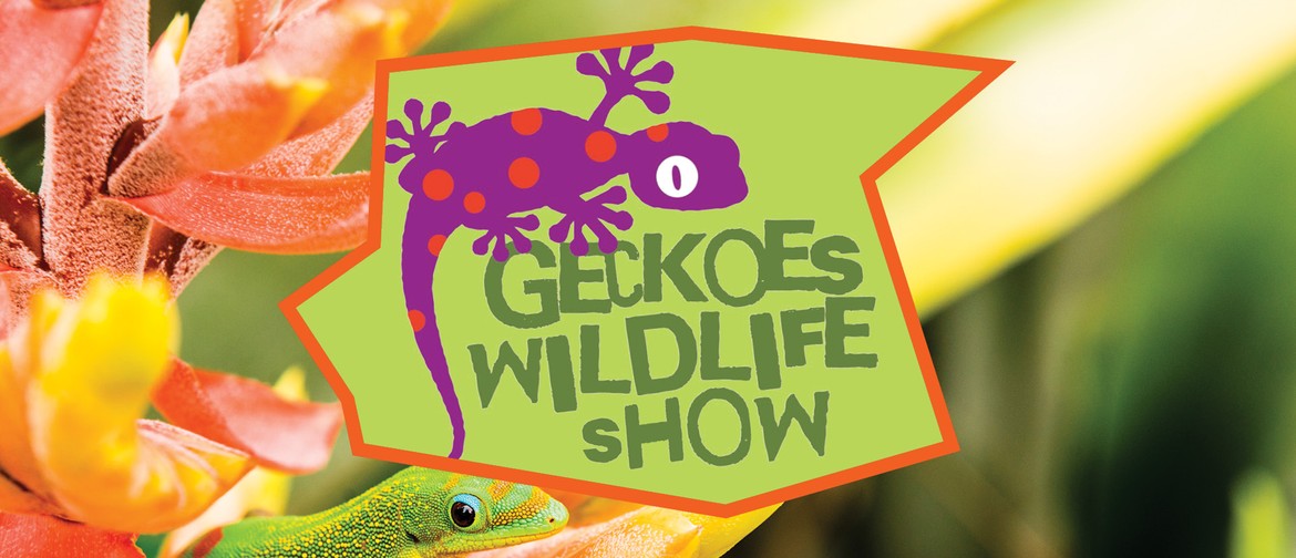 Geckoes Wildlife Show