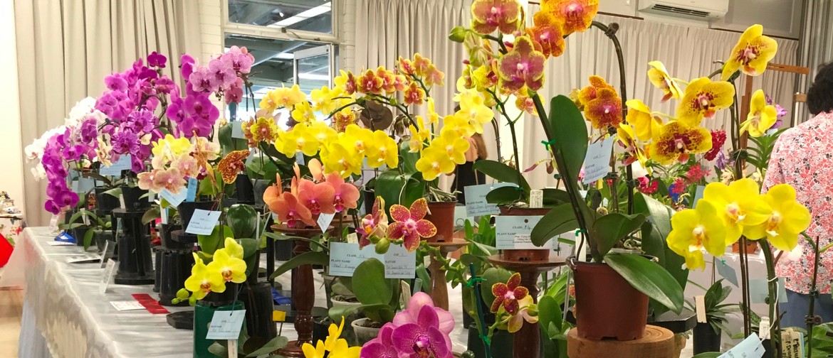 North Moreton Qld Orchid Council Inc. Summer Orchid Show