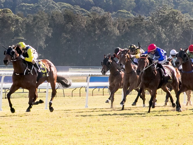 Christmas In July Race Results 2022 Christmas In July Race Day - West Gosford - Eventfinda