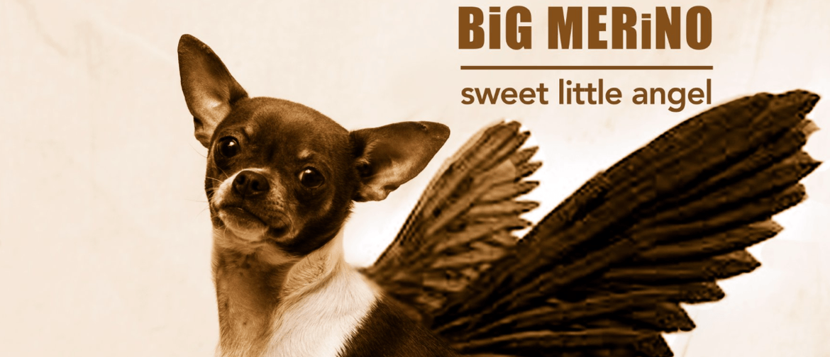 Big Merino Sweet Little Angel Album Launch