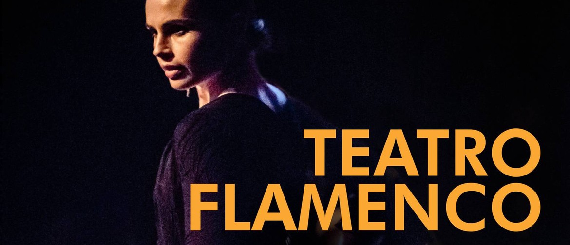 Diana Reyes Flamenco – Teatro Flamenco