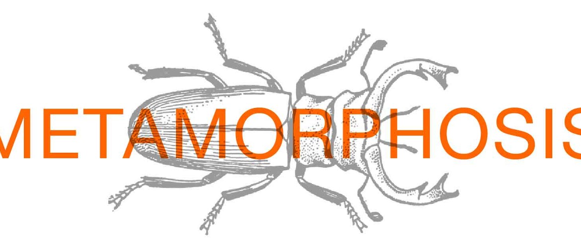 Metamorphosis Adapted By Steven Berkoff