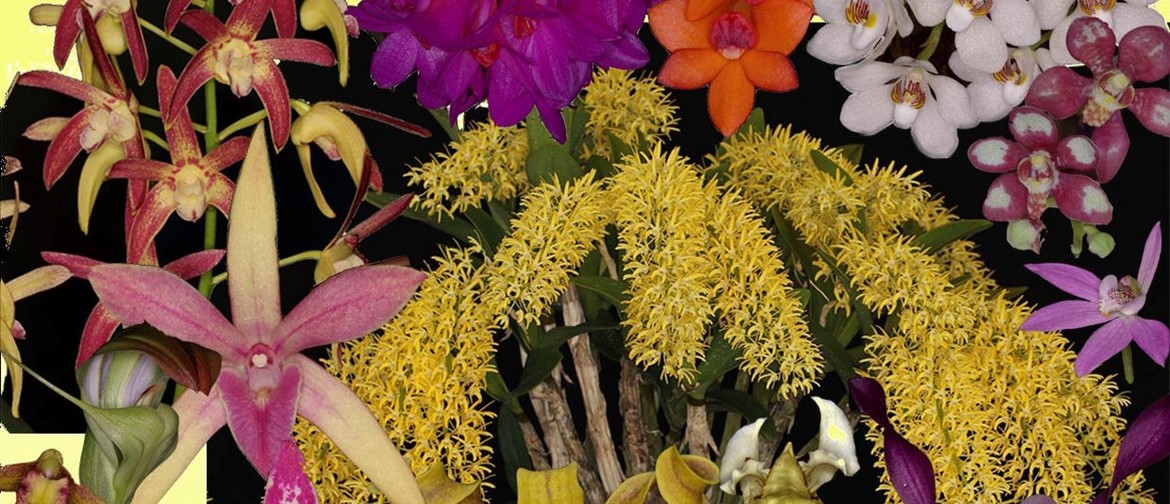 9th Native Orchid Conference & Show
