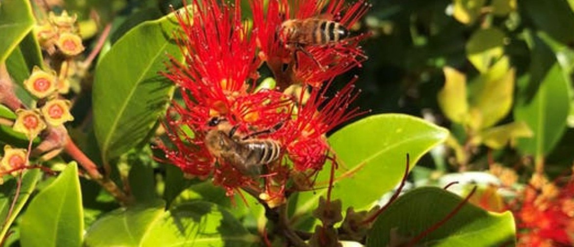 Garden Science – Insects