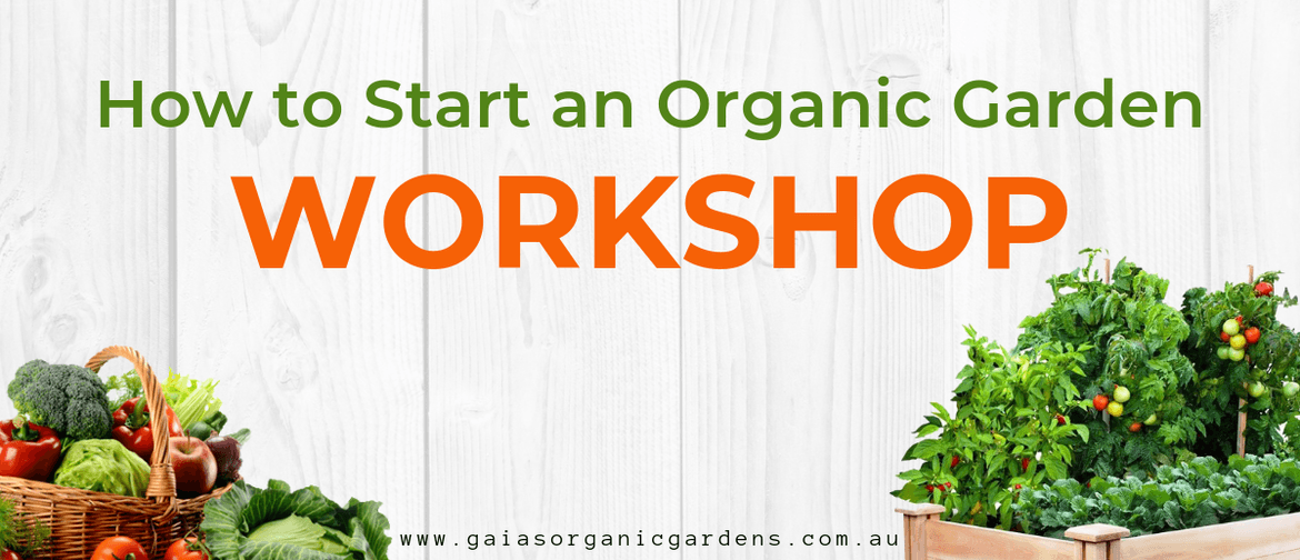 How to Start an Organic Garden Workshop