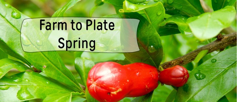 Farm To Plate – Spring