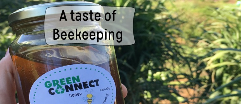 A Taste of Beekeeping