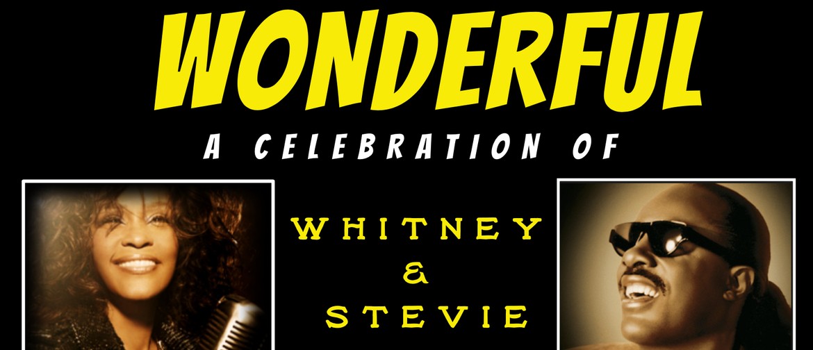 Wonderful – Stevie Wonder and Whitney Houston Show
