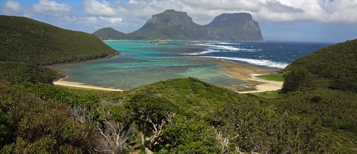 Museum Lecture: Lord Howe to Save a Species