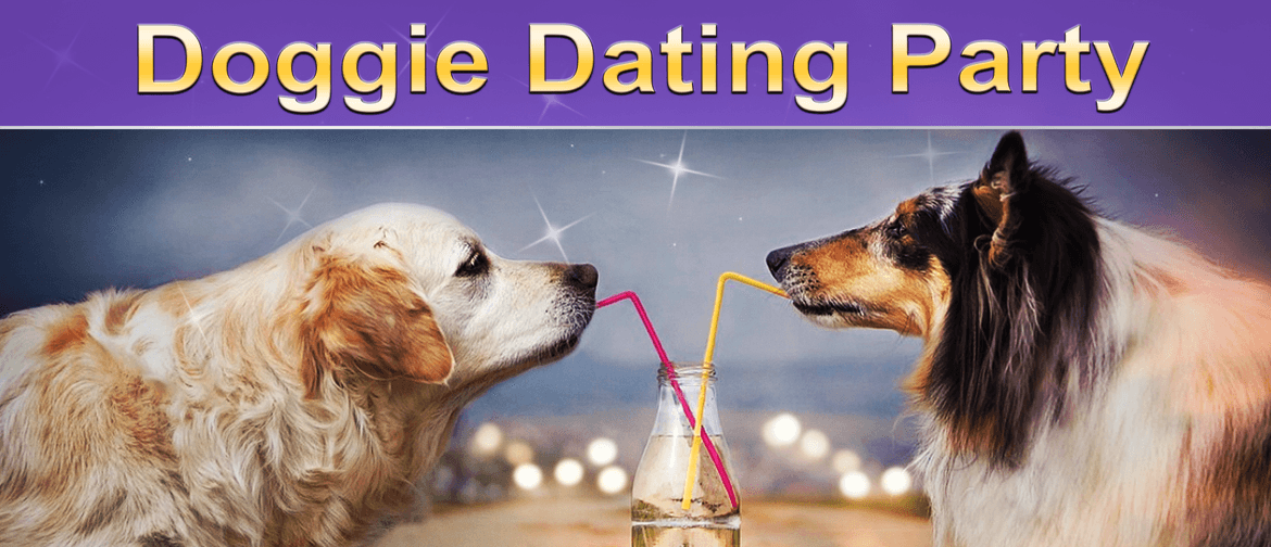 Doggie Speed Dating 20–38 – Adelaide