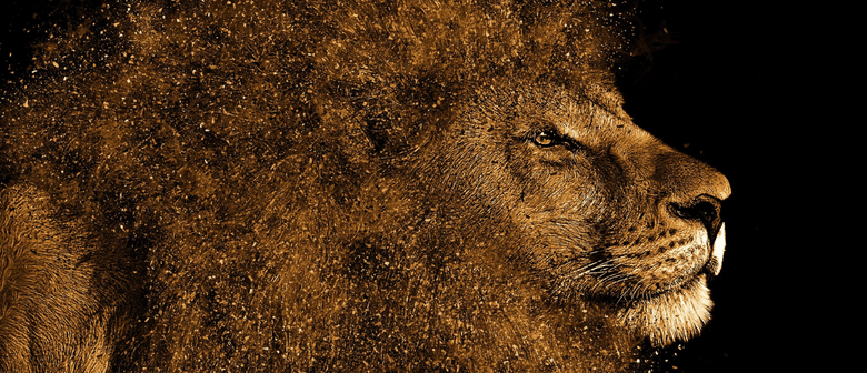 The Lion The Witch And The Wardrobe Perth Eventfinda