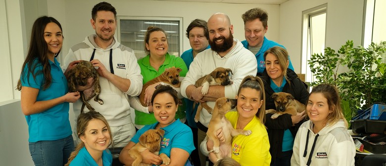 second chance animal adoption