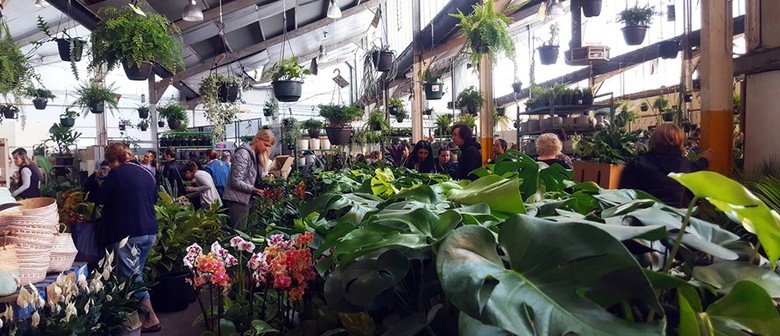 Indoor Plant Sale – Rumble In the Jungle