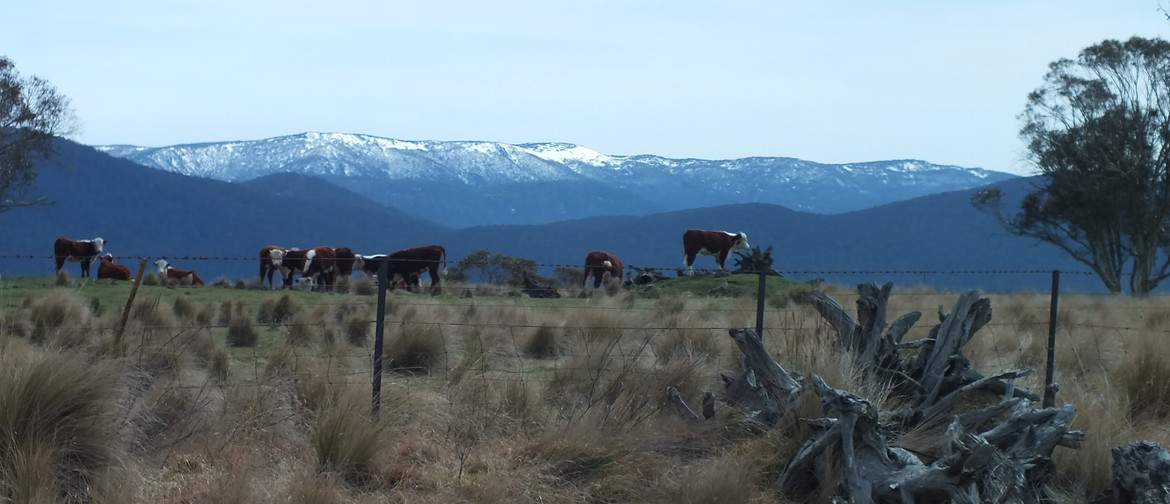 Oil Painting Class - Painting Snowy Mountains