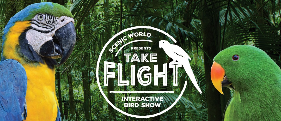 Scenic World: Take Flight!